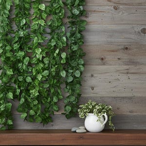 Peut inclure: Des lianes artificielles vertes pendent d'un mur en bois. Un pichet en céramique blanche avec une petite plante et des pierres grises repose sur une étagère en bois brun foncé. Le fond est en planches de bois patinées.
