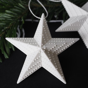 Può includere: Ornamenti natalizi a forma di stella bianca con superficie strutturata e piccoli punti in rilievo. Gli ornamenti sono appesi a fili bianchi e sono ambientati su uno sfondo scuro con aghi di pino verdi. Perfetti per le festività.