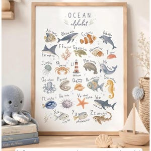 Könnte beinhalten: Ein vertikales rechteckiges Poster mit dem Titel OCEAN alphabet, das Aquarellillustrationen von Meereslebewesen für jeden Buchstaben von A bis Z zeigt, darunter ein Kaiserfisch, Blauwal, Clownfisch, Delfin und andere, mit dem Text frame not included.