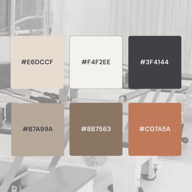 May include: A color palette featuring six square color swatches with hexadecimal color codes. The colors include beige, white, dark gray, taupe, brown, and burnt orange. The background shows a pilates studio.