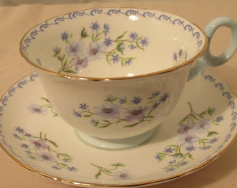 Shelley Tea Cup and Saucer