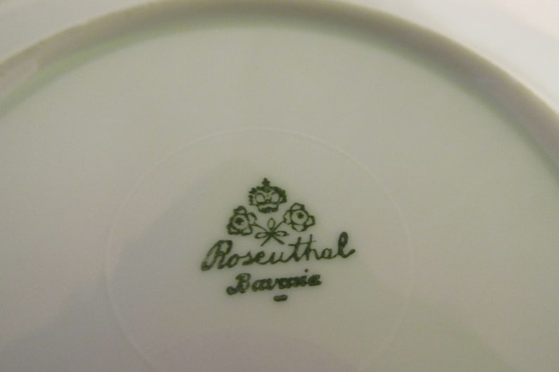 Rosenthal Tea Cup and Saucer