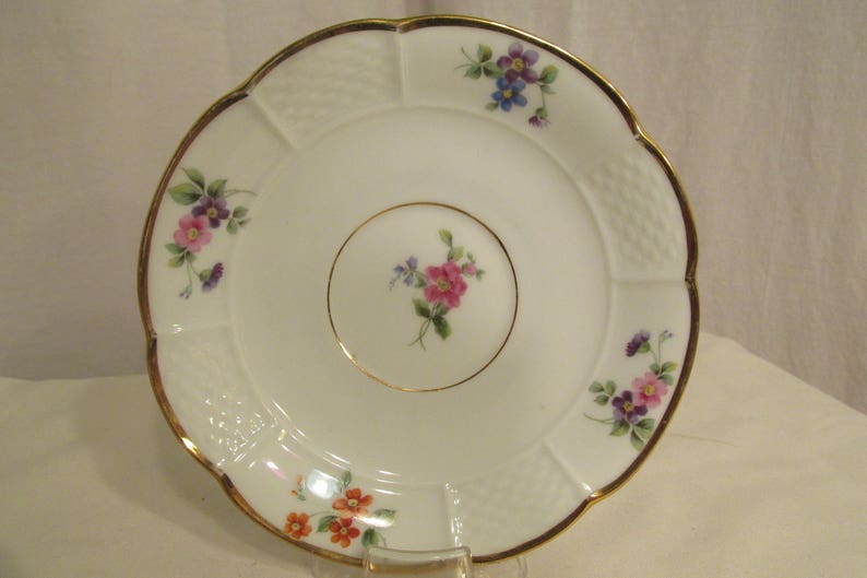Rosenthal Tea Cup and Saucer