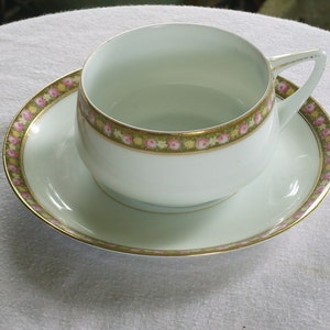 Rosenthal Tea Cup and Saucer