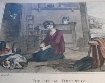 The Little Domestic