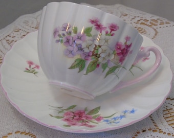 Shelley Teacup and Saucer