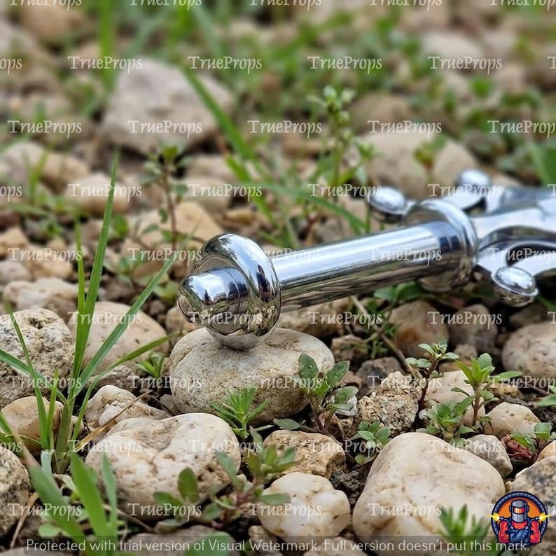 May include: A polished silver-toned metal object with a cylindrical shaft and a rounded, knob-like end. The piece features a smooth, reflective surface and a distinct circular ring detail near the tip, resting horizontally on a rocky ground.
