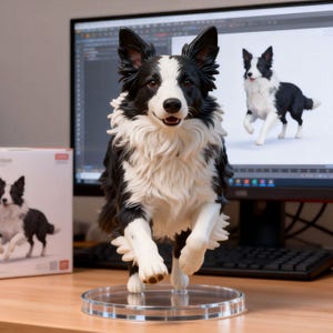 May include: A black and white Border Collie figurine standing on a clear circular base. The dog is depicted in a dynamic pose with its front paws raised, featuring detailed fur texture, pointed ears, and a white chest ruff.