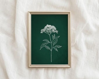 Stimmungsvolle smaragdgrüne botanische Skizze, minimalistische Wildblumenlinienzeichnung, digital druckbares Wohnzimmerdekor