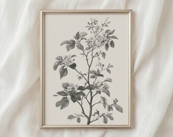 Vintage botanische Monochrome Blumen Skizze Minimalist Cottagecore antike Blüte Gravur Büro digitale Wandkunst