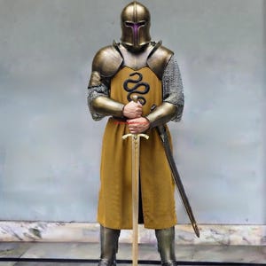 May include: A suit of armour featuring a brass-toned helmet with a purple visor, metallic shoulder and arm plates, and chainmail sleeves. A mustard yellow tunic displays a black snake emblem. A long sword is held upright in front of the body.