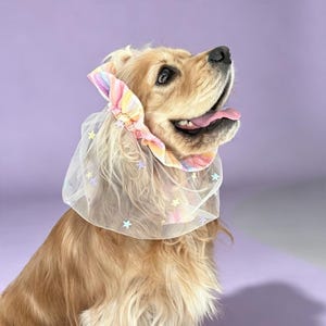 Sheer Tulle Ear Bonnet for Big-Eared Dogs, Mealtime Mess-Proof Ear Cover | Cocker Spaniel Cavapoo King Charles Pet Accessory