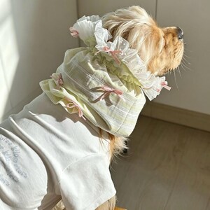 Bow Long Ear Dog Cover for Cocker Spaniel Cavalier, Pet Accessory Photo Prop