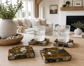 Atlas Terrain Stone Coasters
