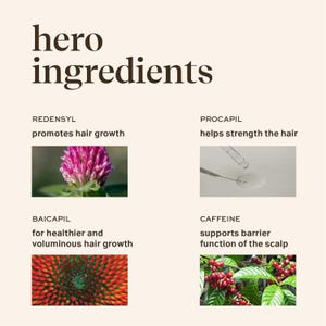 Op de afbeelding: Een beige afbeelding met de woorden "hero ingredients" in bruin. De afbeelding bevat vier ingredi&euml;nten: Redensyl, Procail, Baicapil en Cafe&iuml;ne, met beschrijvingen en afbeeldingen van elk ingredi&euml;nt.