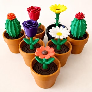 May include: A selection of miniature potted plants in various colours. The collection includes cacti, roses, daisies, and other flowers. The pots are terracotta, and the plants are arranged on a white surface. The flowers are in shades of red, yellow, and orange.