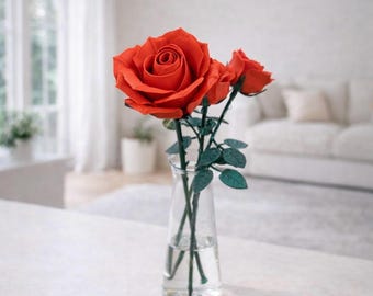 May include: A clear glass vase holds three red roses with green stems and leaves. The roses are in full bloom, with a large central flower and two smaller buds. The vase sits on a white surface, with a blurred background of a window and a couch.