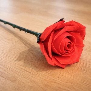 May include: A single, vibrant red rose with a dark green stem and thorns lies on a light brown wooden surface. The rose's petals are fully open, showcasing its intricate spiral center. The stem extends diagonally across the frame.