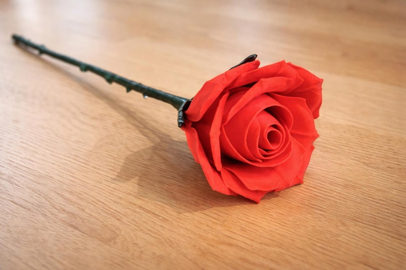 May include: A single, vibrant red rose with a dark green stem and thorns lies on a light brown wooden surface. The rose's petals are fully open, showcasing its intricate spiral center. The stem extends diagonally across the frame.