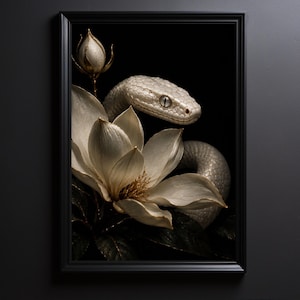 Könnte beinhalten: Ein gerahmter Kunstdruck, der eine weiße Schlange zeigt, die sich hinter einer großen, blühenden weißen Magnolienblüte und einer geschlossenen Knospe windet. Das Motiv ist vor einem tiefschwarzen Hintergrund platziert.
