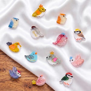 Può includere: Una collezione di tredici piccole spille o pin in acrilico a forma di uccellino colorato. Ogni pezzo presenta motivi e colori distinti, tra cui giallo, blu, rosa e verde. Due delle figure di uccelli riportano stampati i nomi Rachel e Daniel.