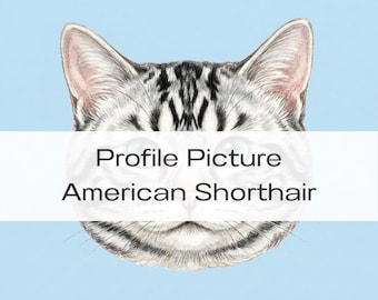 Profilbild | Amerikanische Kurzhaarkatze | KATZE | 300DIP | PNG