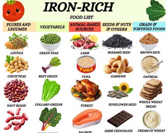 Iron Rich Food List, High Iron Food Chart, Anemia Food List Printable, Iron Rich Grocery List, Iron Deficiency Diet Guide PDF