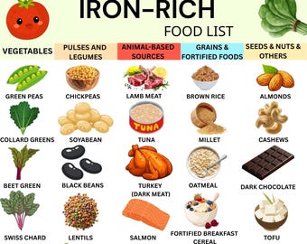 Iron Rich Food List Printable | High Iron Food Chart | Anemia Food Grocery List