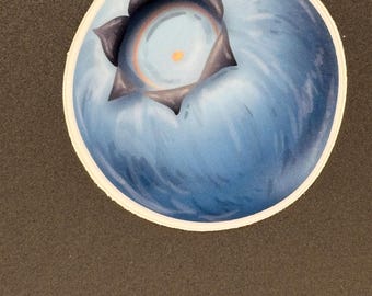 May include: A round sticker featuring a detailed illustration of a blueberry. The blueberry is a vibrant blue color with a textured appearance and a white border. The top of the blueberry has a dark, star-shaped crown.