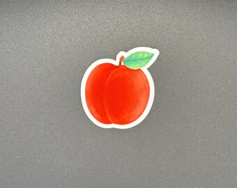 May include: A red apple sticker with a white border and a green leaf. The sticker is a simple illustration of a ripe apple, perfect for decorating notebooks, laptops, or other items.