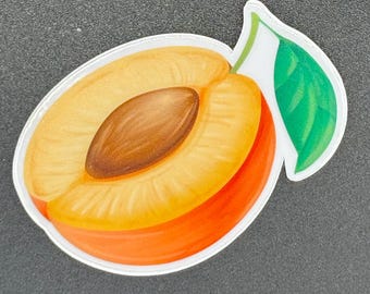 Apricot Sticker: Mini Fruit Decal, Farmer's Market Vibes