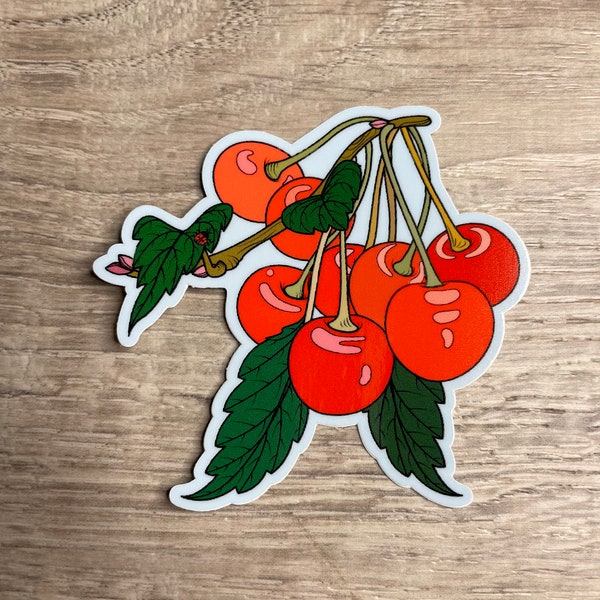 Bundle of Cherries Vinyl Sticker