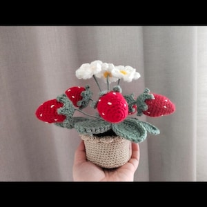 Könnte beinhalten: Eine gehäkelte Erdbeerpflanze in einem kleinen beigen Topf. Die Pflanze besteht aus mehreren leuchtend roten Erdbeeren mit weißen gestickten Samen, dunkelgrünen Blättern und kleinen weißen Blüten mit gelber Mitte, alles aus Garn gefertigt.