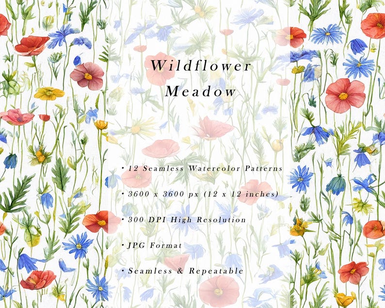 Wildflower Meadow Seamless Patterns, Colorful Floral Digital Paper Pack ...