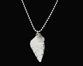 Sea Shell Necklace with Sea Shell Charm