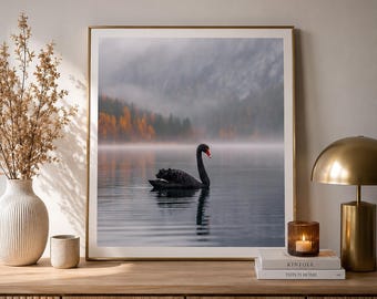 Lámina decorativa de Cisne Negro, Fotografía de Lago Moody, Decoración de estética oscura, Póster de Naturaleza Brumosa, Obra de Arte Escandinava Imprimible
