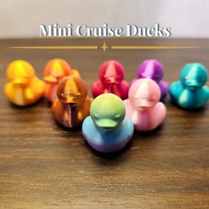 Tiny Cruise Ducks, Mini Duck Set for Hiding