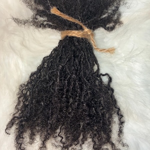 May include: A bundle of dark brown, tightly coiled hair extensions secured at the top with a piece of tan twine. The hair has a dense, textured appearance with numerous small, defined curls that fan out from the tied section toward the ends.