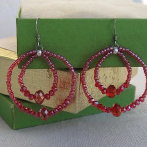 Dazzling Raspberry Crystal Double Hoop Earrings