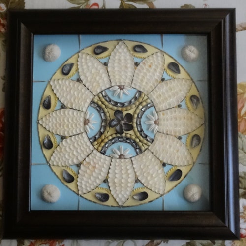 Sea Shell Wall Art Coastal Wall Art Home Decor Shell Art Shell Etsy