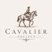Avatar belonging to CollectCavalier
