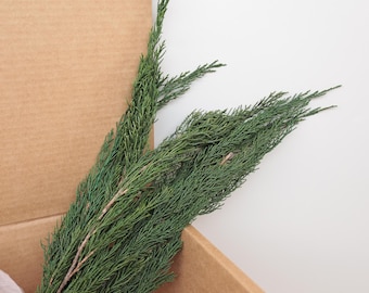 Preserved Pine Branches,Winter Christmas Decorations, Natural Home Decor, Wedding Floral Art
