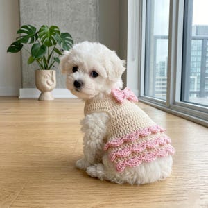 May include: A small, fluffy white dog wearing a handmade crochet dress. The dress is beige with a pink scalloped trim and a pink bow on the back. The dog is sitting on a wooden floor near a window.