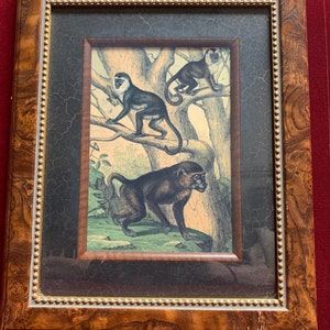 May include: A framed print featuring three monkeys in a tree and on the ground. The artwork is enclosed in a dark, textured mat with gold-toned beaded trim and a wide, polished brown wood-grain frame with a swirling pattern throughout the border.
