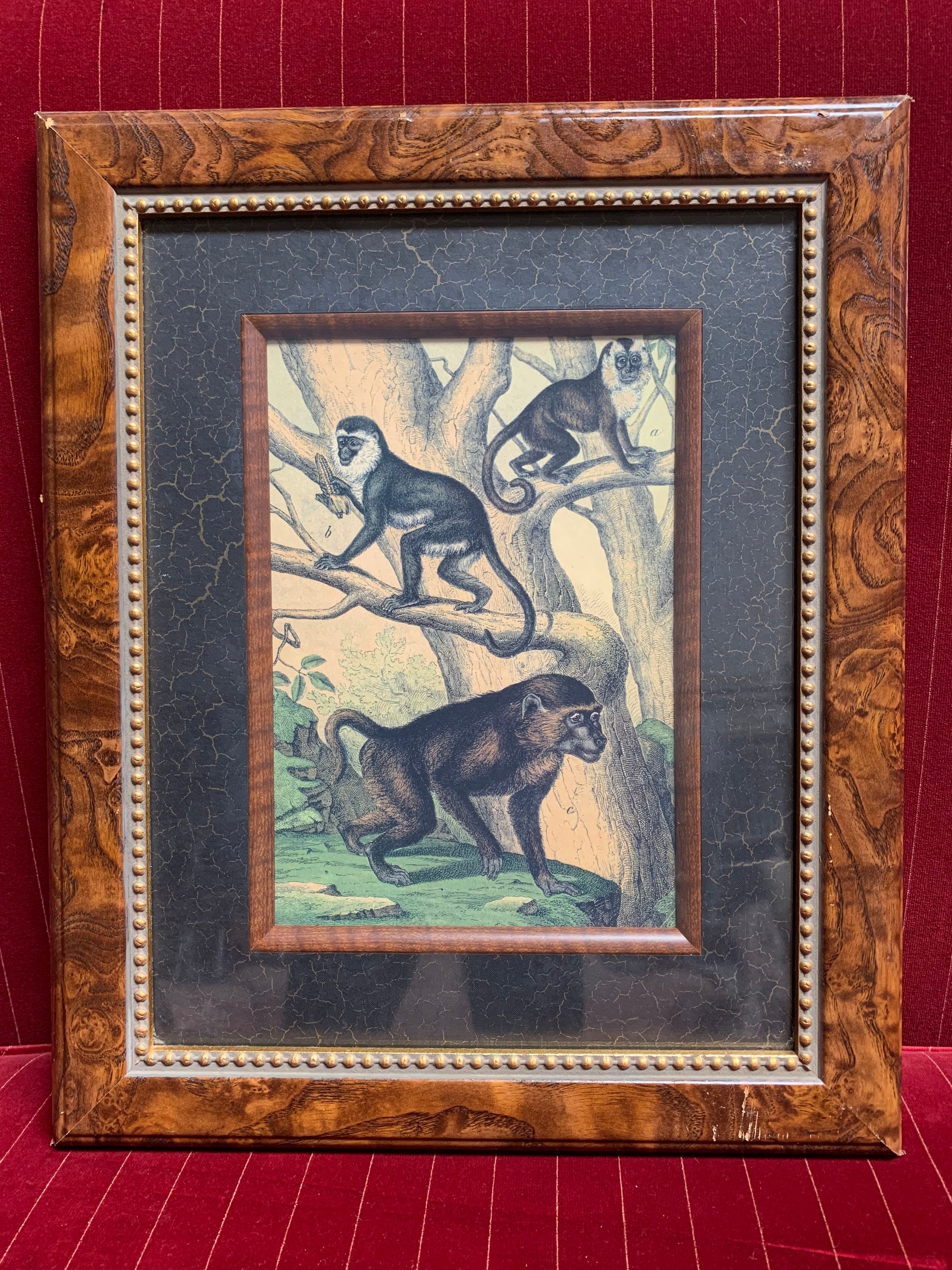Vintage Wall Treasures 19th Century Monkey Engraving II Wooden Picture