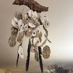 May include: A hanging mobile featuring a piece of weathered driftwood at the top, from which numerous oyster shells and several long, dark brown feathers are suspended by thin strings, creating a layered, cascading arrangement of natural elements.