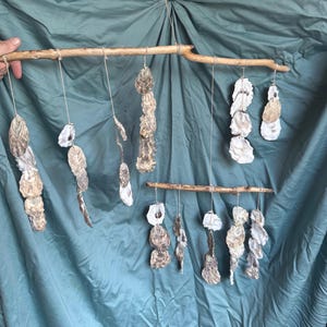 May include: A hanging mobile featuring two horizontal driftwood branches suspended by twine. Multiple strands of natural oyster shells in shades of white, gray, and tan are attached to the branches with twine, creating a layered, cascading arrangement.