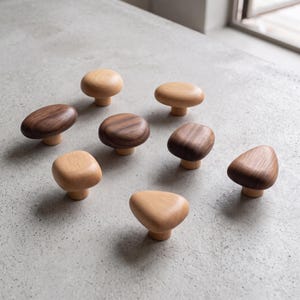 Può includere: Una collezione di otto pomelli in legno per armadietti di varie forme e dimensioni. I pomelli sono realizzati in legno di tonalità chiara e scura, caratterizzati da forme lisce, arrotondate e organiche con un perno centrale per il fissaggio.