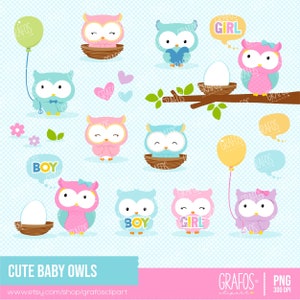 Joli bébé hiboux - ensemble de cliparts numériques, hiboux hiboux, hiboux bébés cliparts, clipart nouveau-né, clipart baby shower