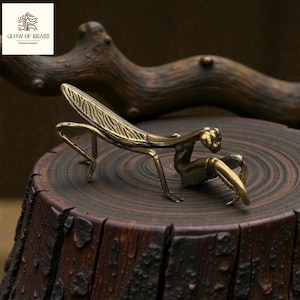 Op de afbeelding: Een messing bidsprinkhaanbeeldje met gedetailleerde vleugels en poten. De insectensculptuur staat op een donkere houten ondergrond, met een logo in de linkerbovenhoek. Het beeldje is een decoratief item.